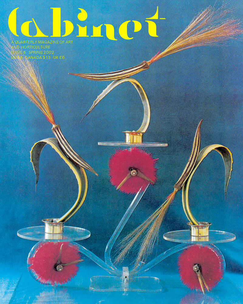 cover 1